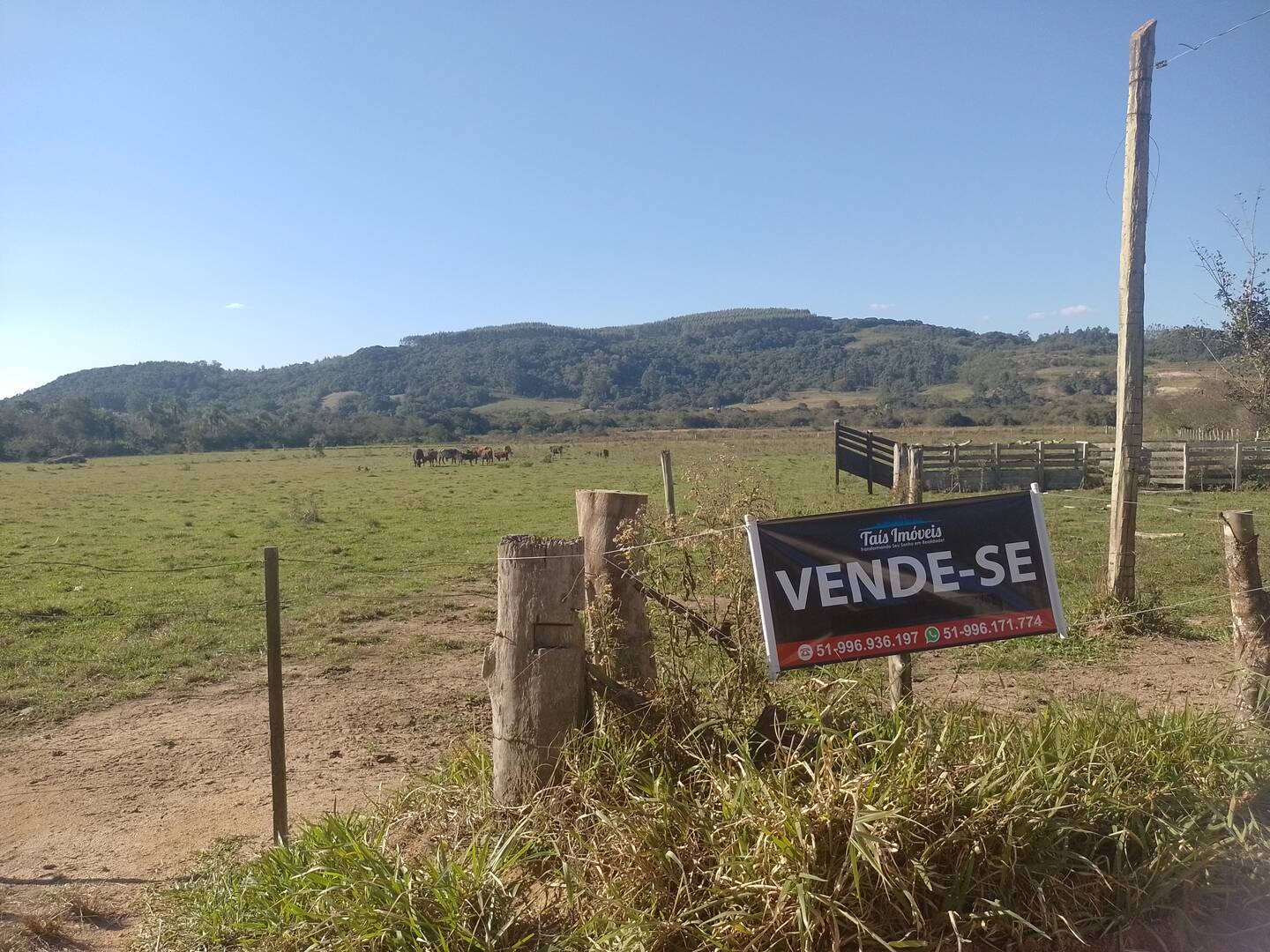 #323 - Chácara para Venda em Cerro Grande do Sul - RS