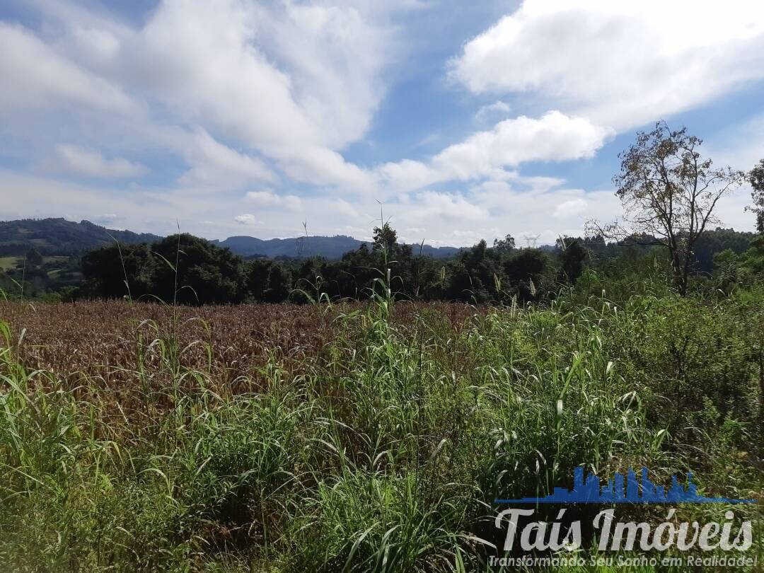 Fazenda à venda com 3 quartos, 75000m² - Foto 18