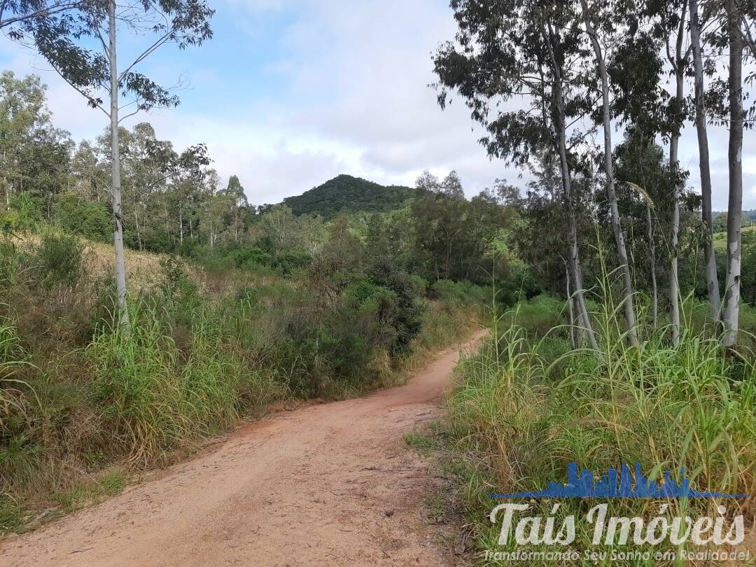 Fazenda à venda com 3 quartos, 75000m² - Foto 19