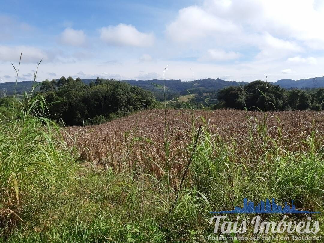 Fazenda à venda com 3 quartos, 75000m² - Foto 25