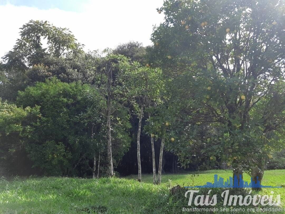 Fazenda à venda com 3 quartos, 75000m² - Foto 24