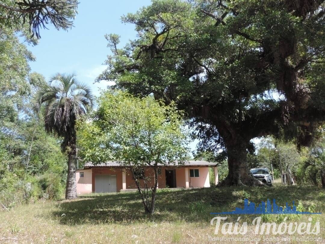 Fazenda à venda com 3 quartos, 50000m² - Foto 2