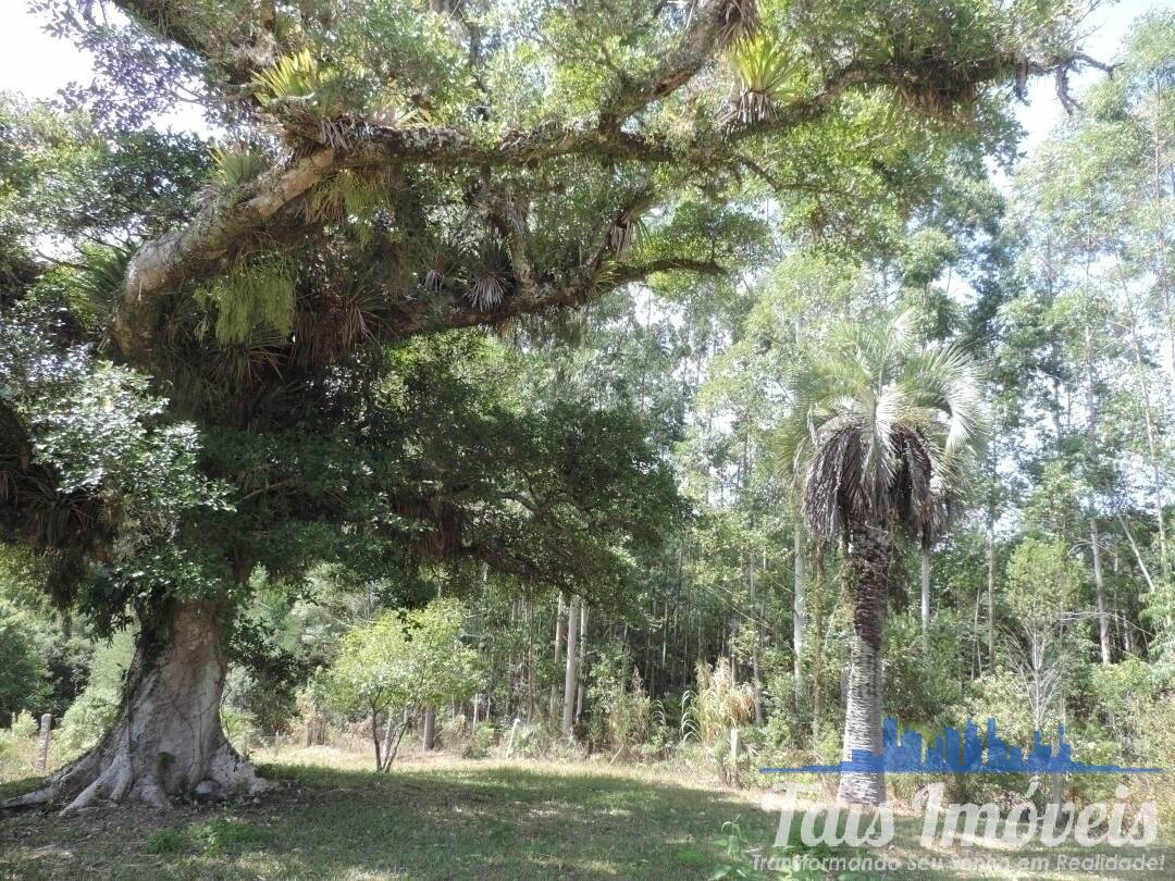 Fazenda à venda com 3 quartos, 50000m² - Foto 3