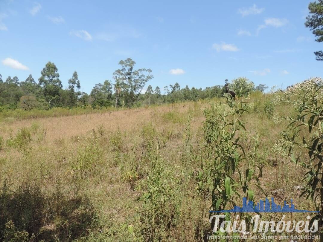 Fazenda à venda com 3 quartos, 50000m² - Foto 15