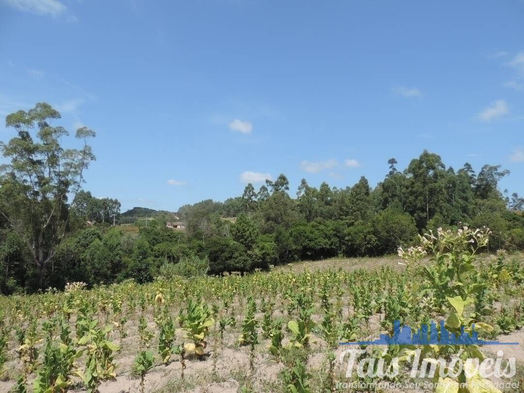 Fazenda à venda com 3 quartos, 50000m² - Foto 16