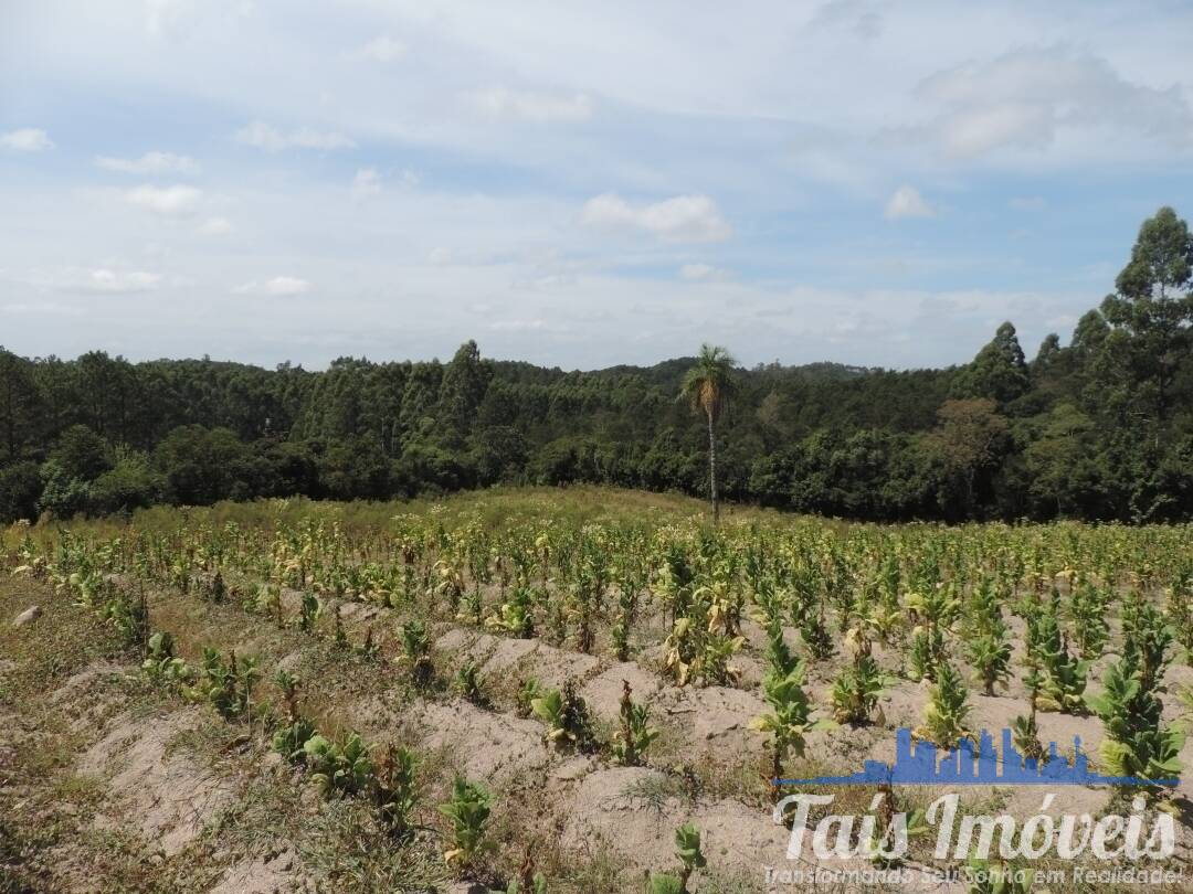 Fazenda à venda com 3 quartos, 50000m² - Foto 17