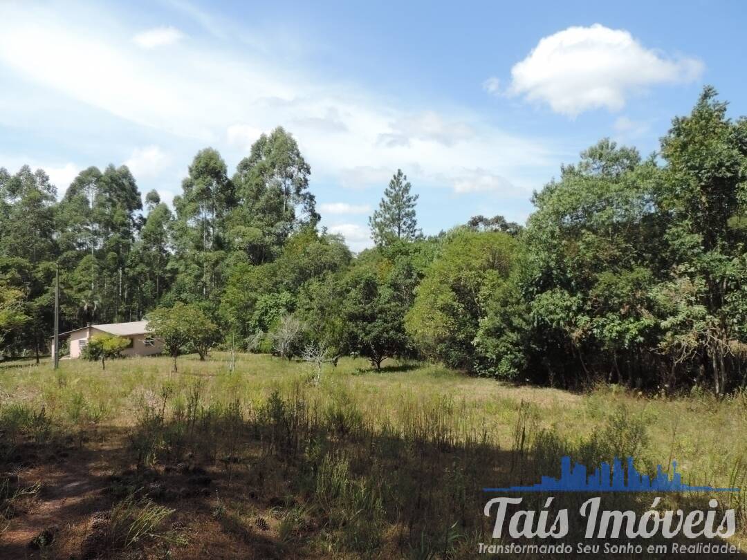 Fazenda à venda com 3 quartos, 50000m² - Foto 19