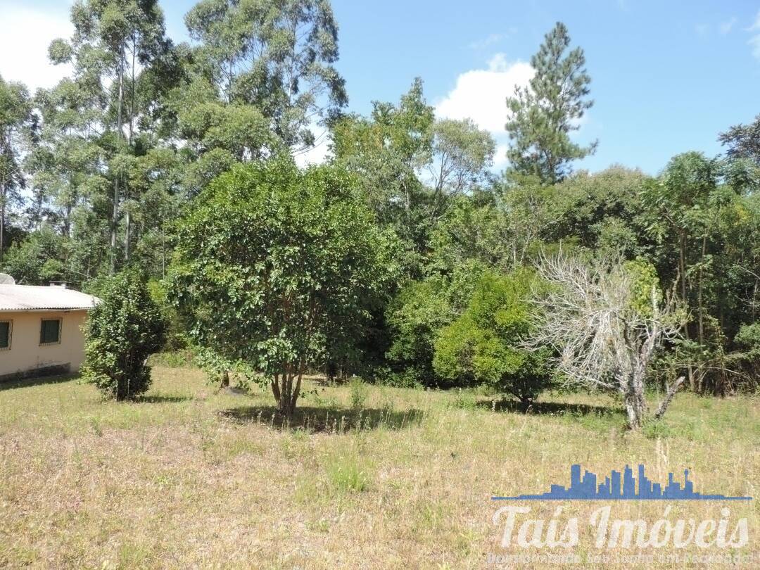 Fazenda à venda com 3 quartos, 50000m² - Foto 21