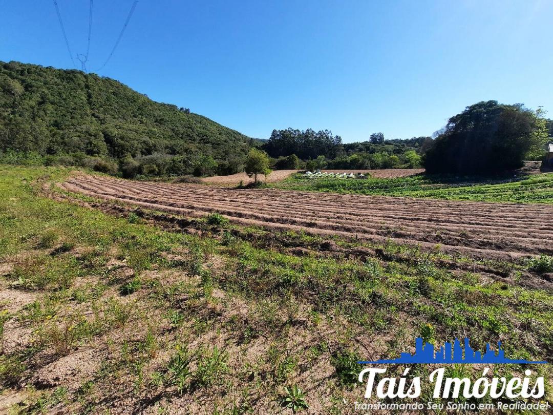 Fazenda à venda com 3 quartos, 7m² - Foto 9