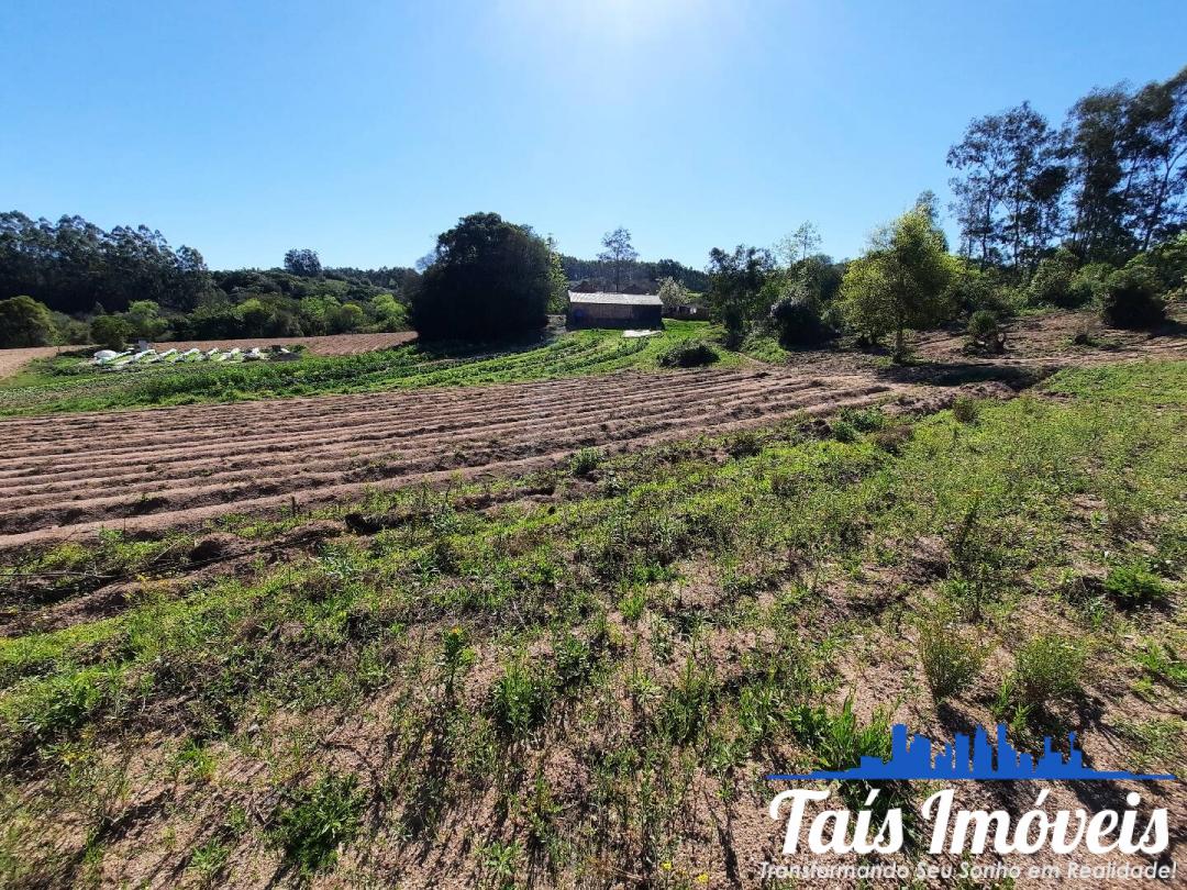 Fazenda à venda com 3 quartos, 7m² - Foto 10