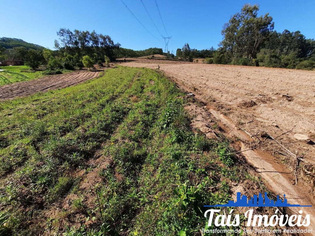 Fazenda à venda com 3 quartos, 7m² - Foto 11