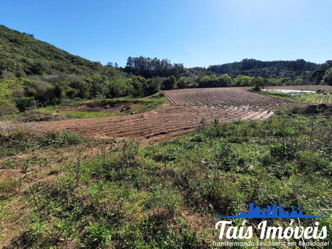 Fazenda à venda com 3 quartos, 7m² - Foto 12