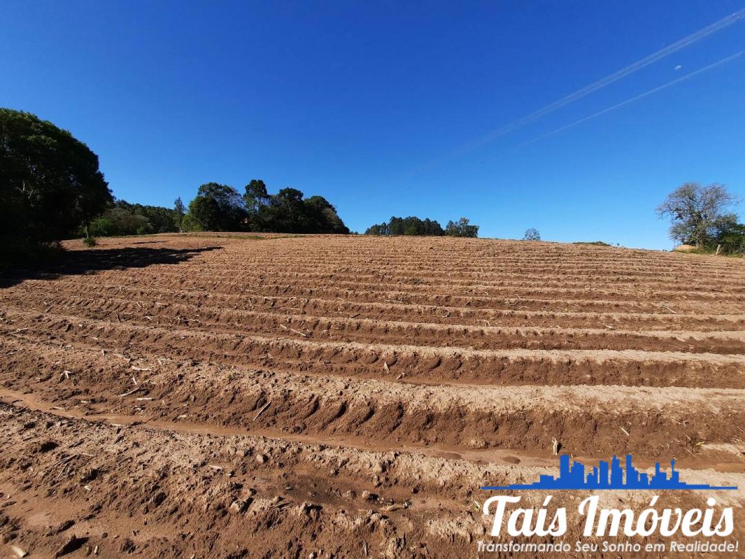 Fazenda à venda com 3 quartos, 7m² - Foto 14