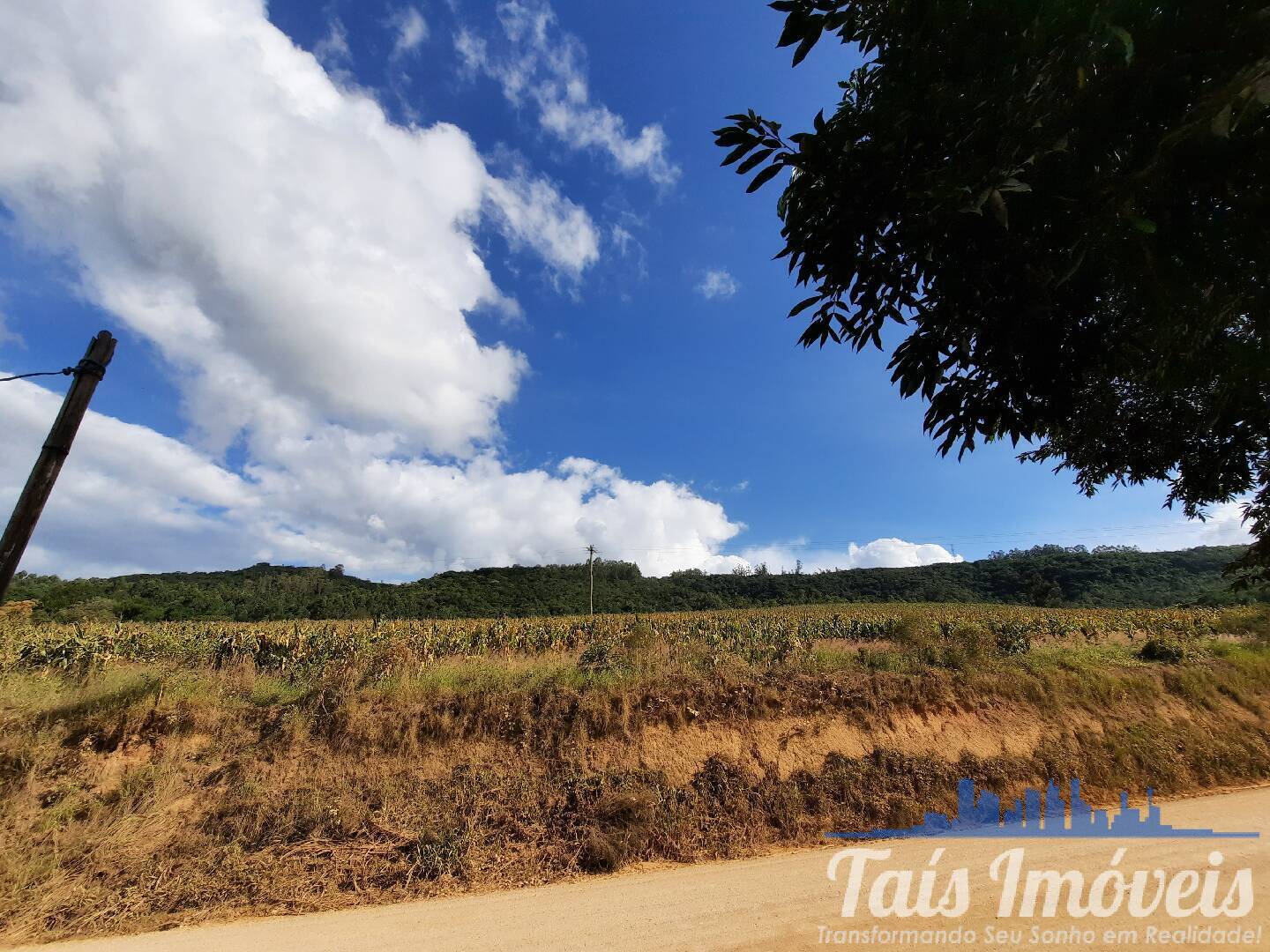 Fazenda à venda com 3 quartos, 45m² - Foto 9