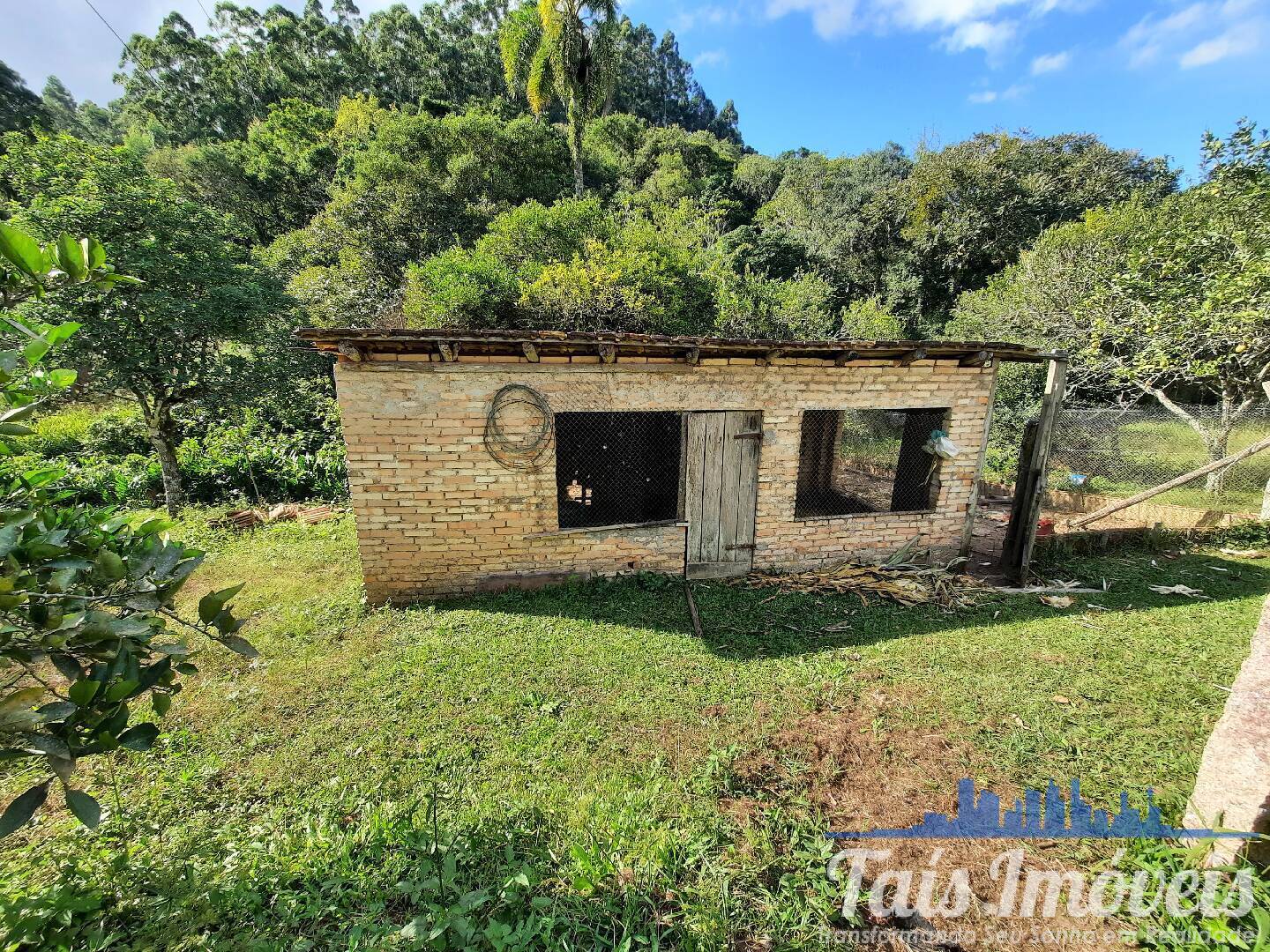 Fazenda à venda com 3 quartos, 45m² - Foto 8