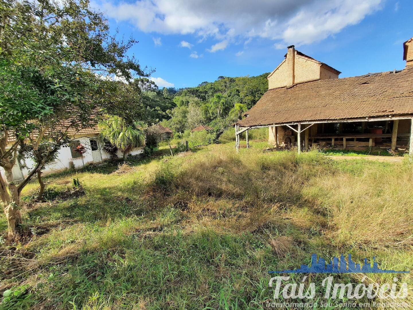 Fazenda à venda com 3 quartos, 45m² - Foto 11