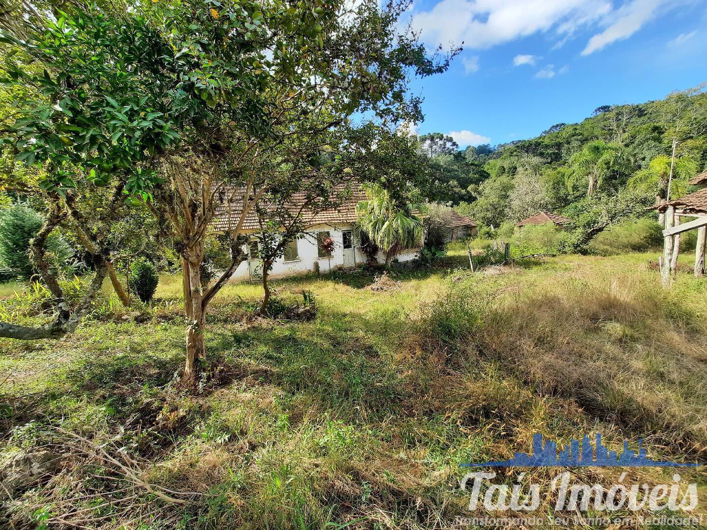 Fazenda à venda com 3 quartos, 45m² - Foto 12