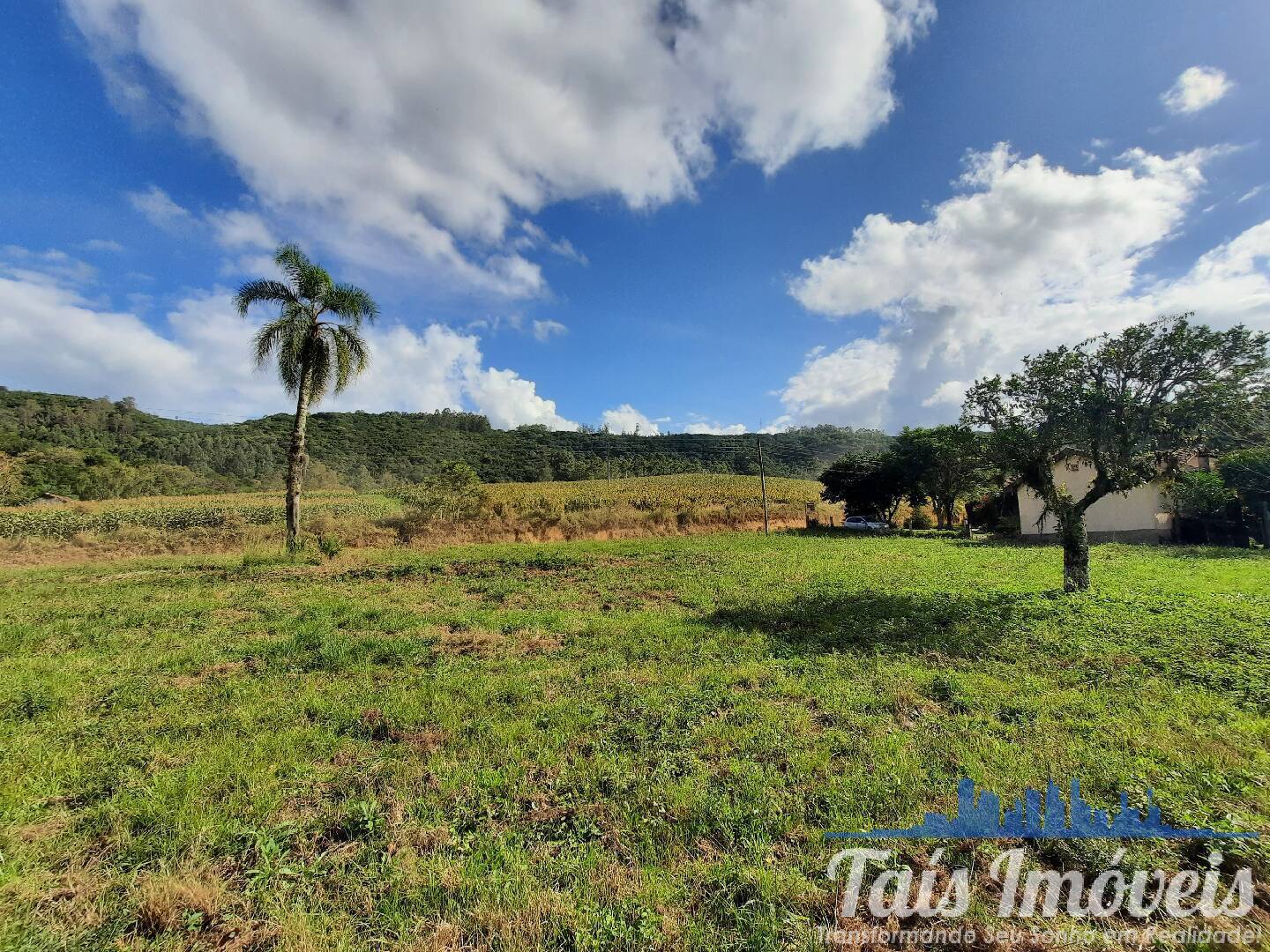 Fazenda à venda com 3 quartos, 45m² - Foto 13