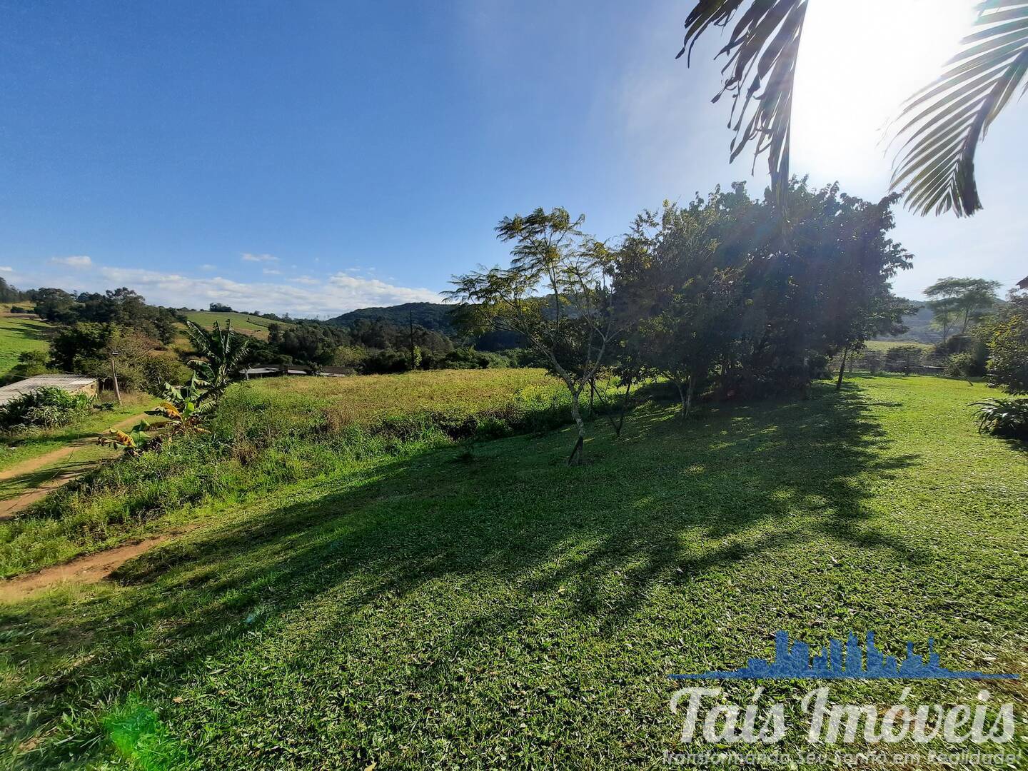 Fazenda à venda com 3 quartos, 10m² - Foto 4