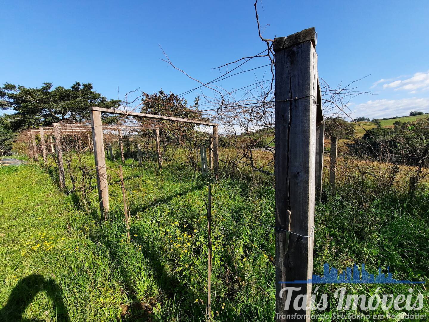 Fazenda à venda com 3 quartos, 10m² - Foto 20