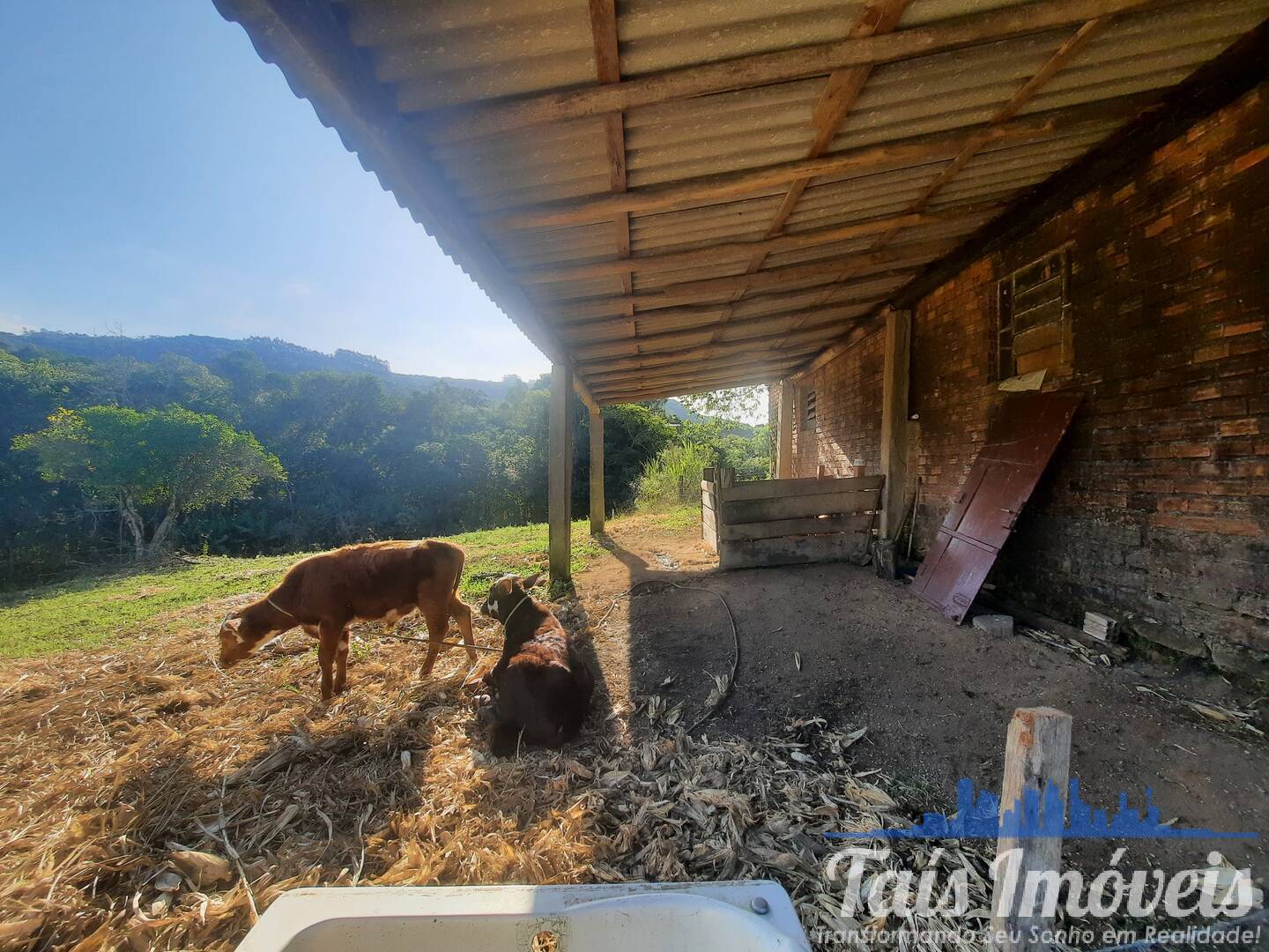 Fazenda à venda com 3 quartos, 10m² - Foto 27