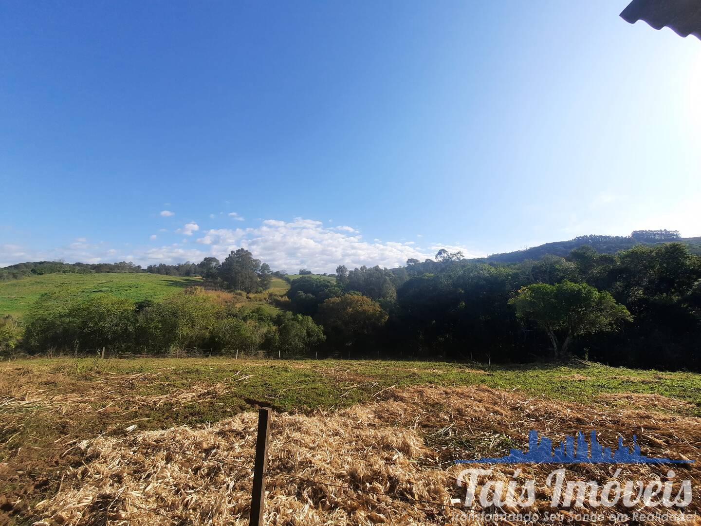 Fazenda à venda com 3 quartos, 10m² - Foto 28