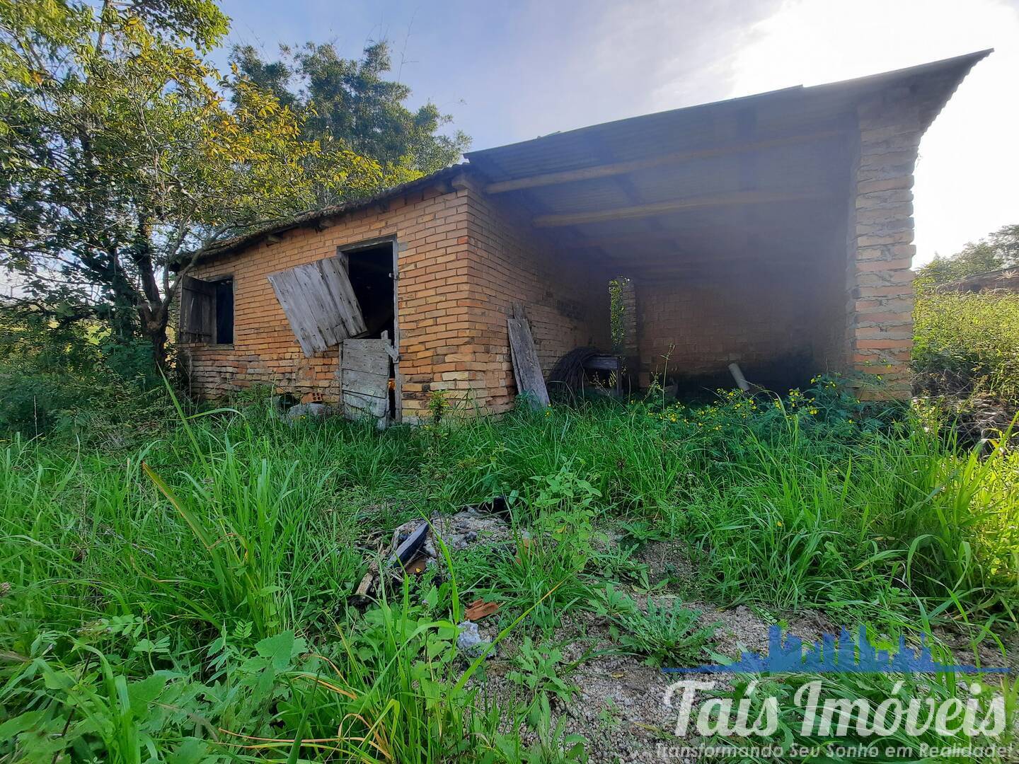 Fazenda à venda com 3 quartos, 10m² - Foto 30