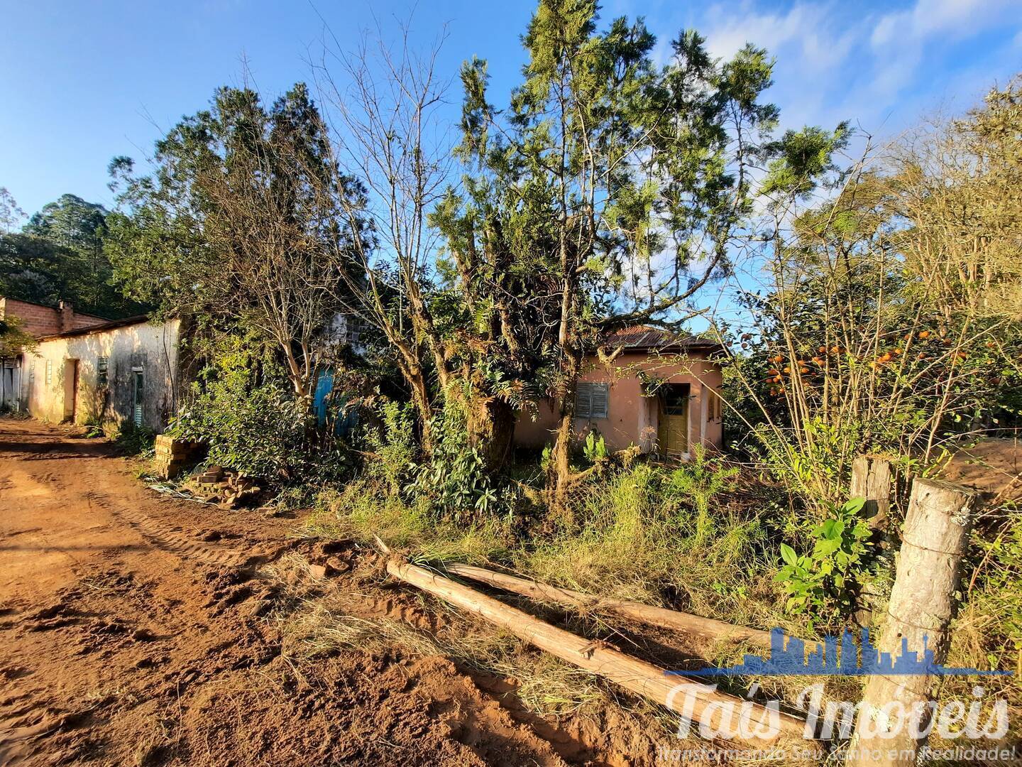 Fazenda à venda com 2 quartos - Foto 2