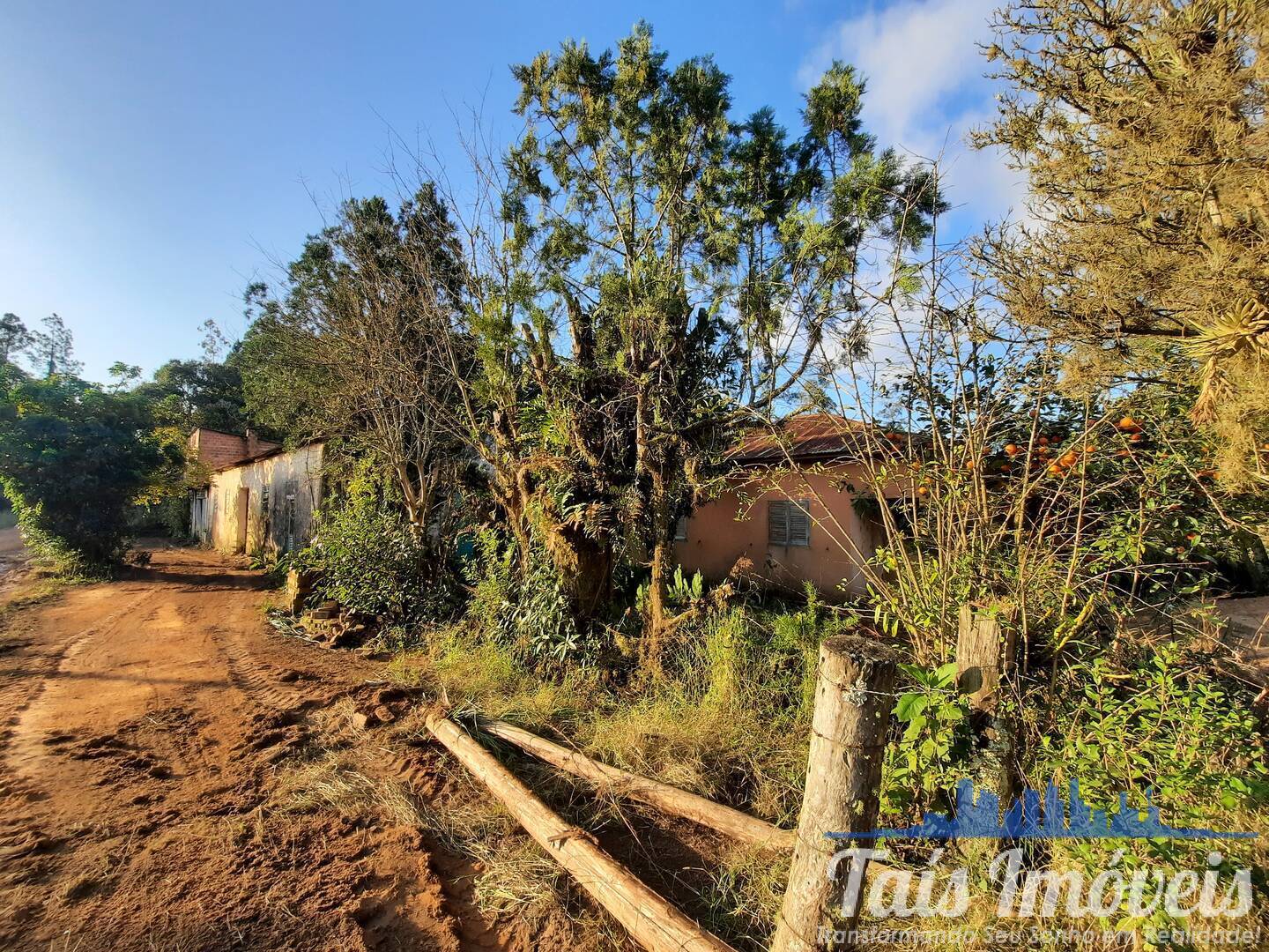 Fazenda à venda com 2 quartos - Foto 4