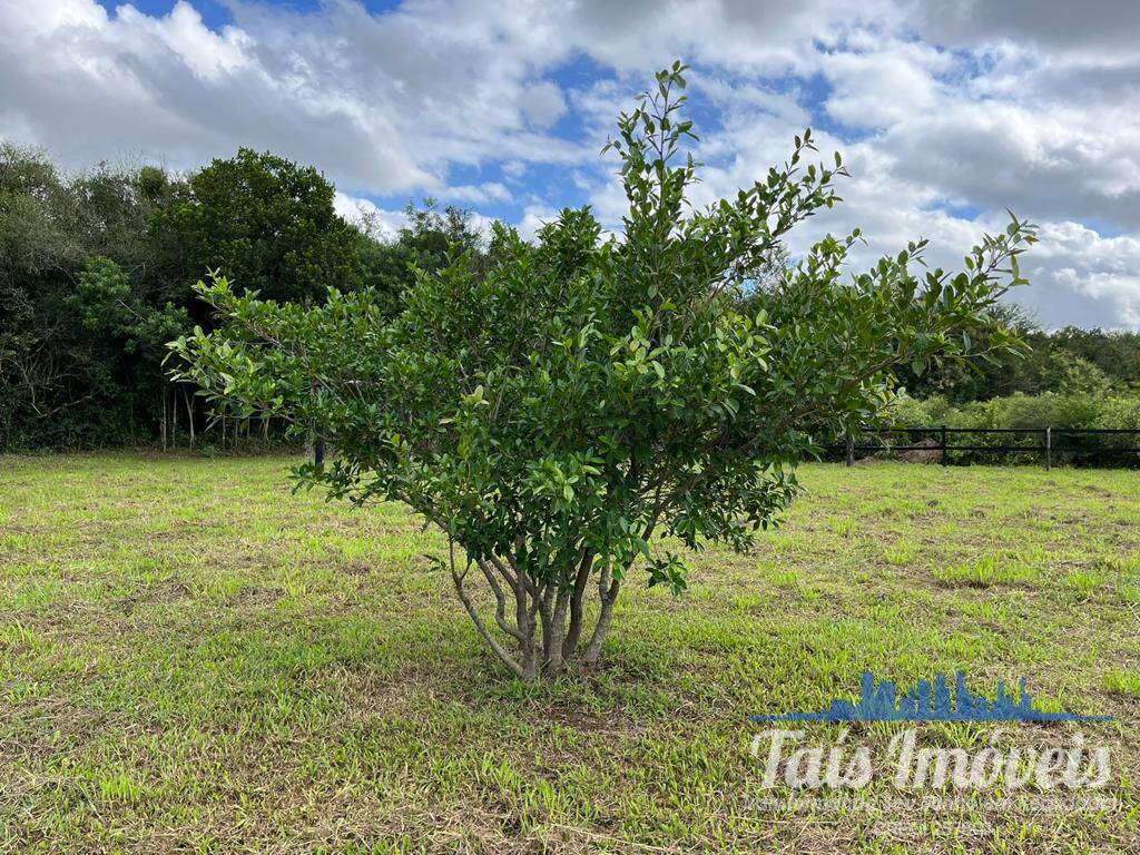 Terreno à venda, 2m² - Foto 4