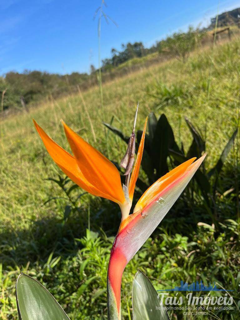 Terreno à venda, 2m² - Foto 8