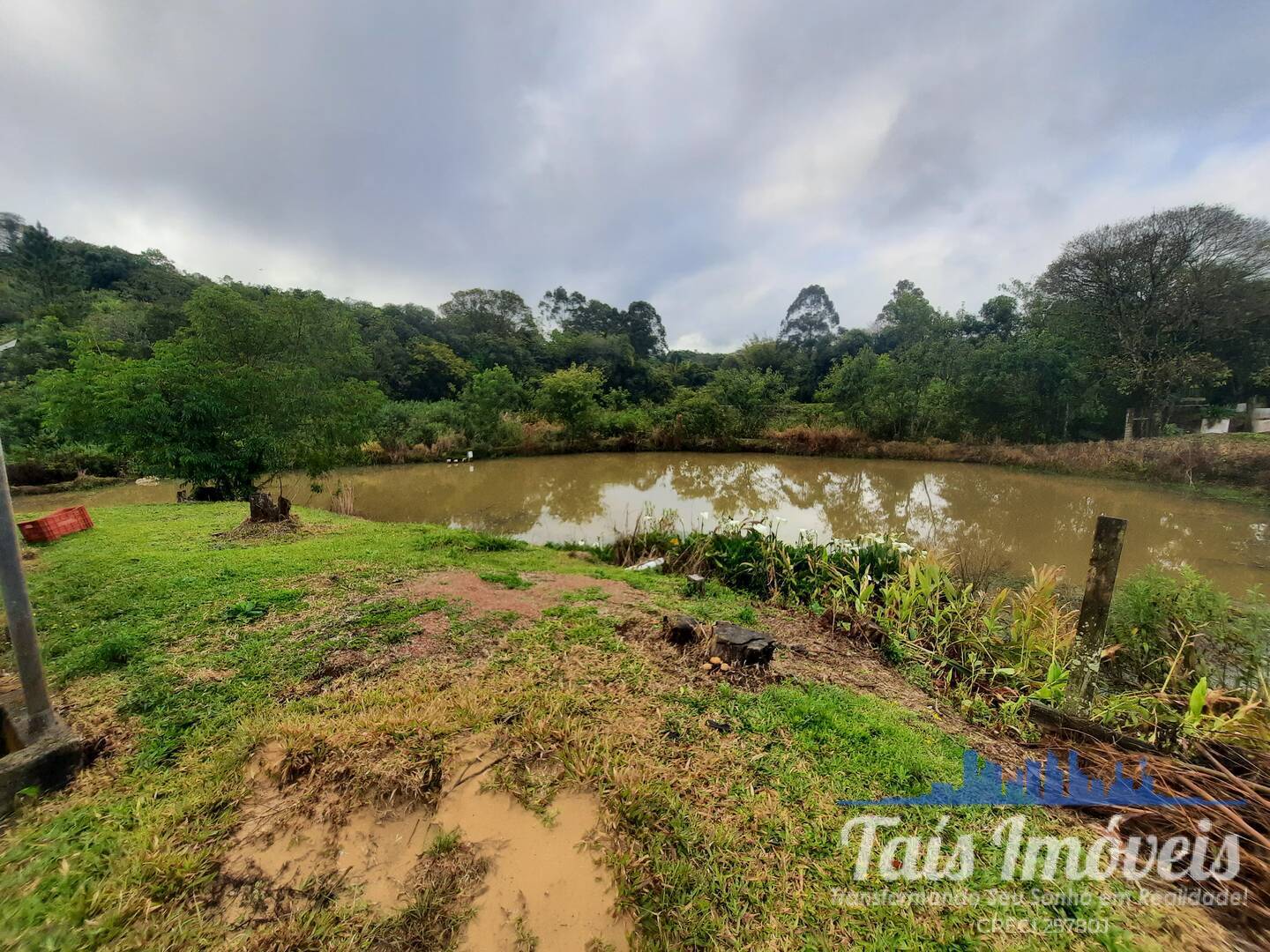 Fazenda à venda com 3 quartos, 2m² - Foto 4