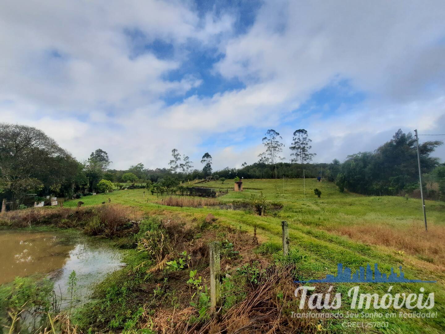 Fazenda à venda com 3 quartos, 2m² - Foto 5