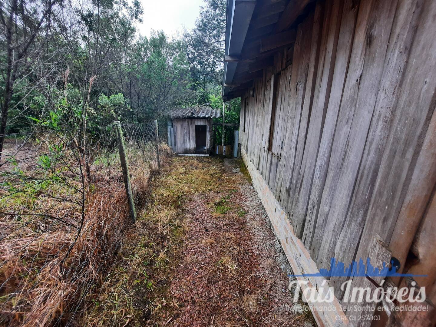 Fazenda à venda com 3 quartos, 2m² - Foto 7