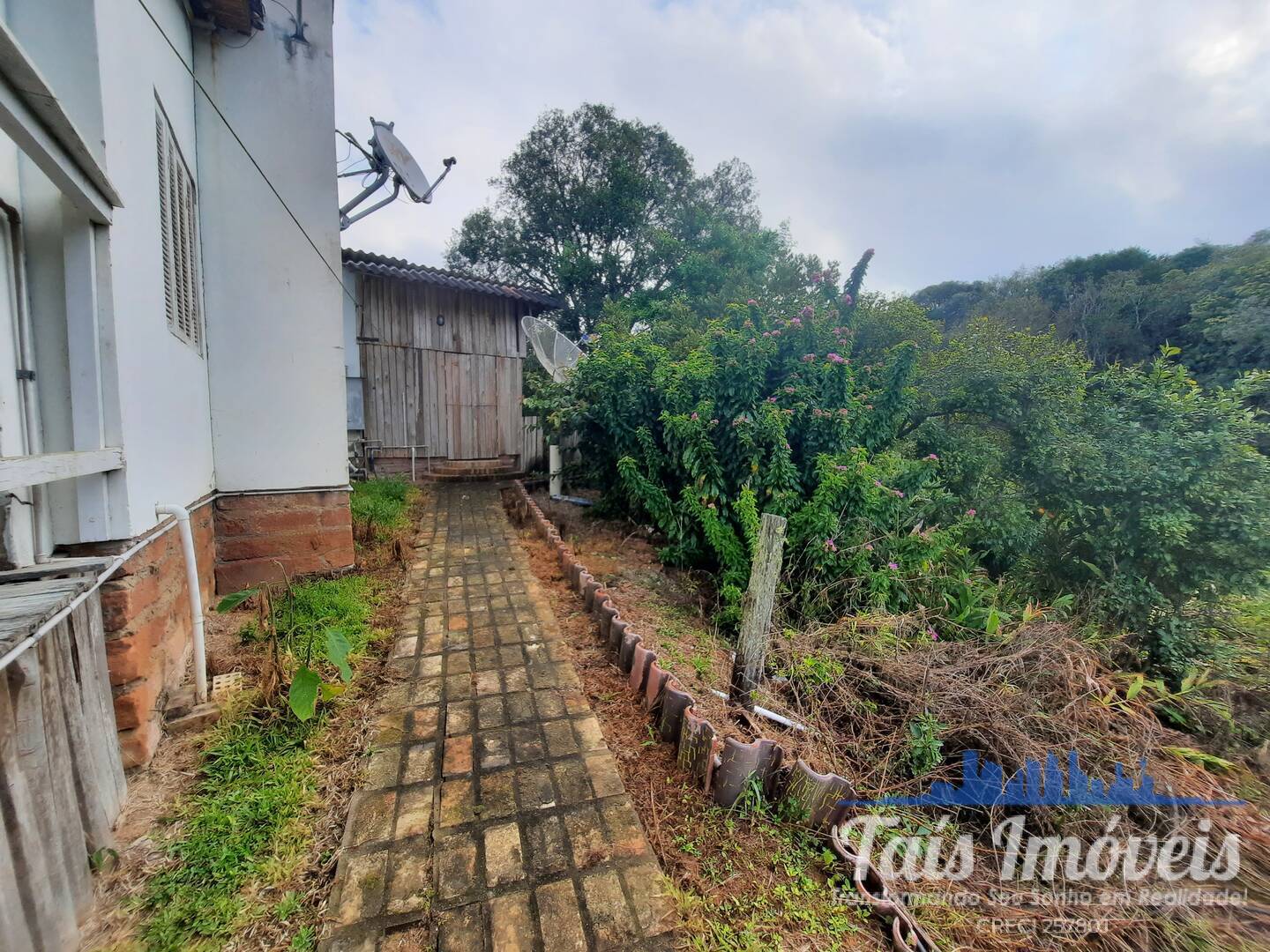 Fazenda à venda com 3 quartos, 2m² - Foto 25