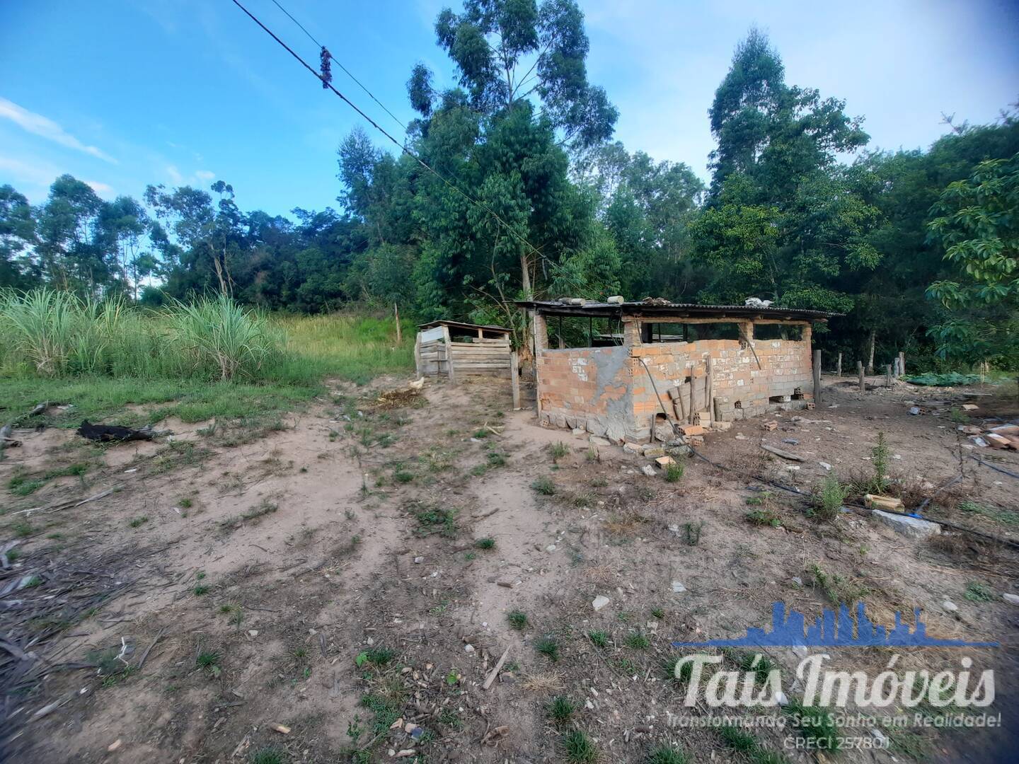 Fazenda à venda com 3 quartos, 14m² - Foto 6