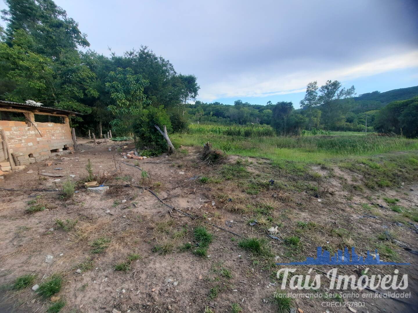 Fazenda à venda com 3 quartos, 14m² - Foto 7