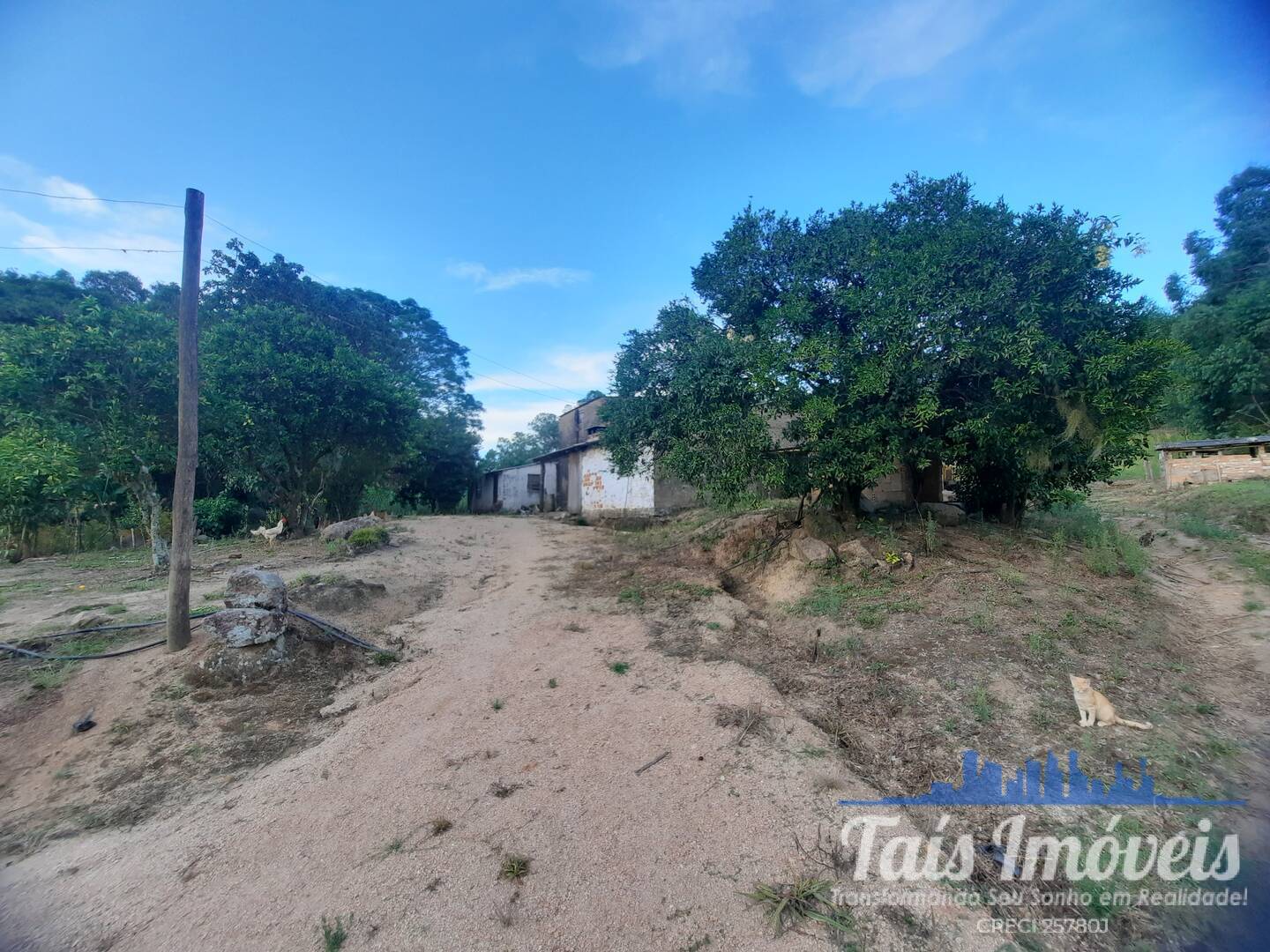 Fazenda à venda com 3 quartos, 14m² - Foto 8