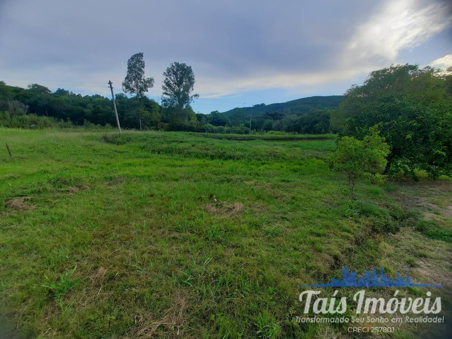 Fazenda à venda com 3 quartos, 14m² - Foto 9