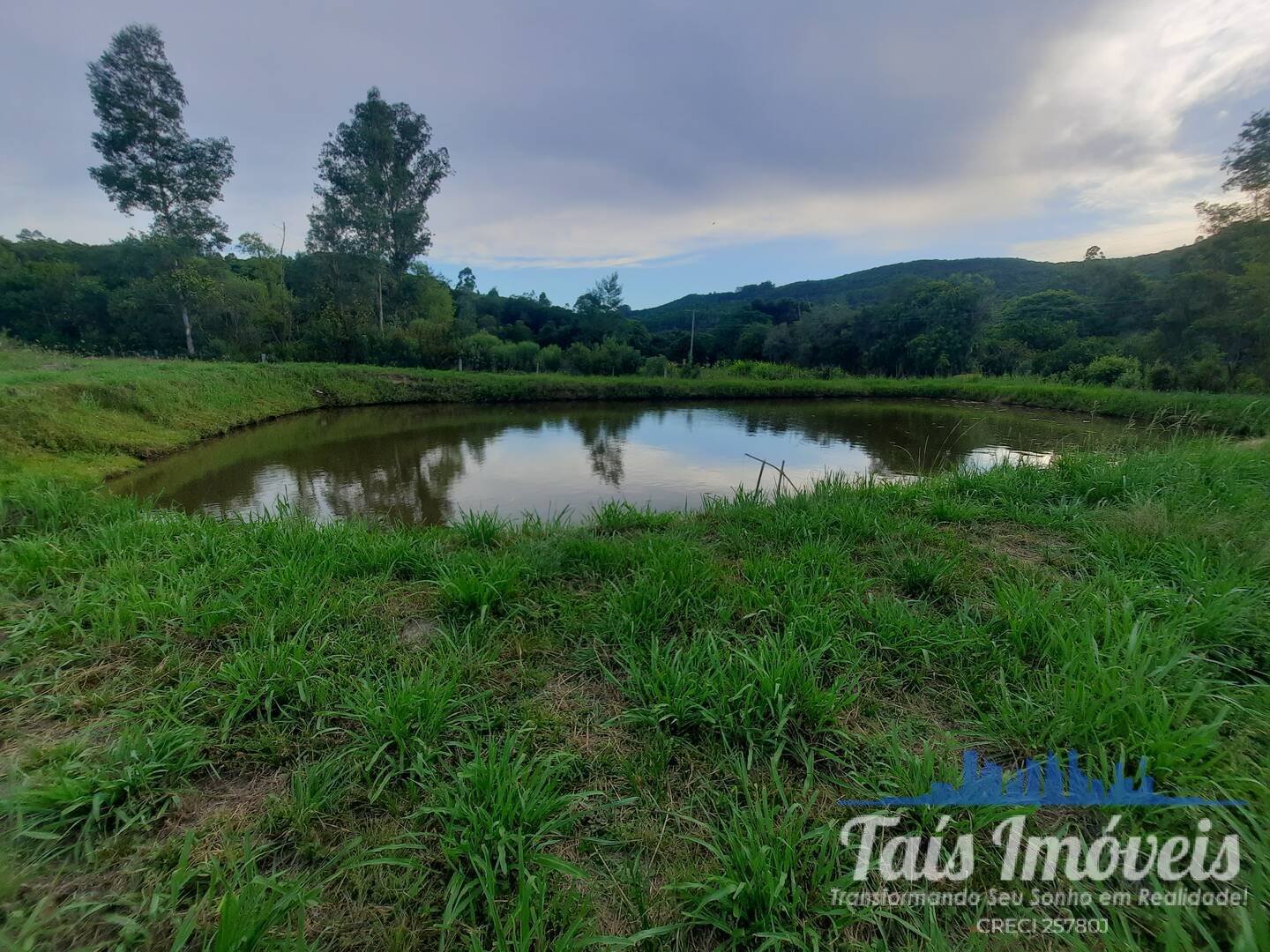 Fazenda à venda com 3 quartos, 14m² - Foto 10