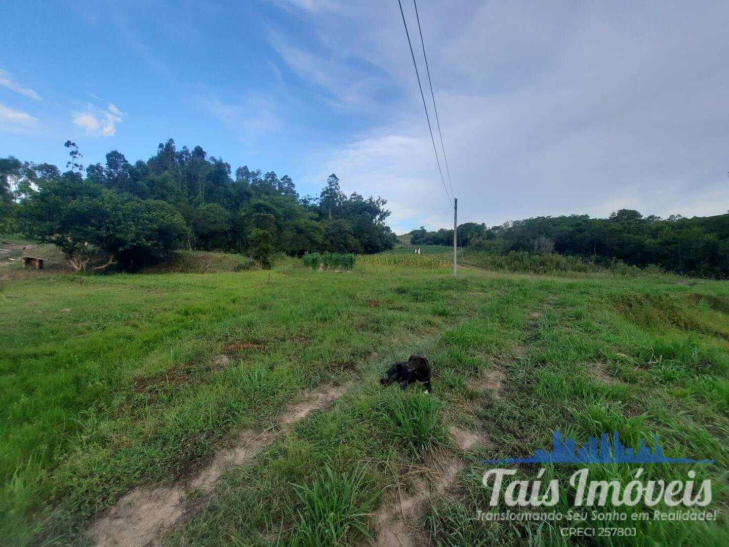 Fazenda à venda com 3 quartos, 14m² - Foto 11