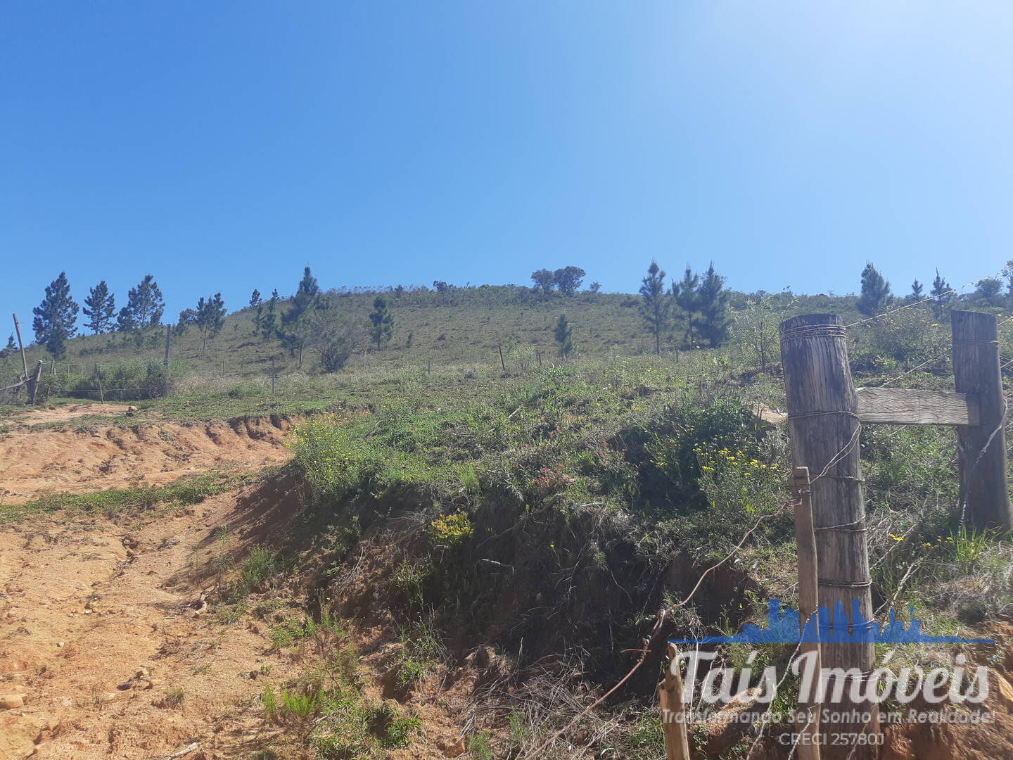 Fazenda à venda com 4 quartos, 10m² - Foto 20