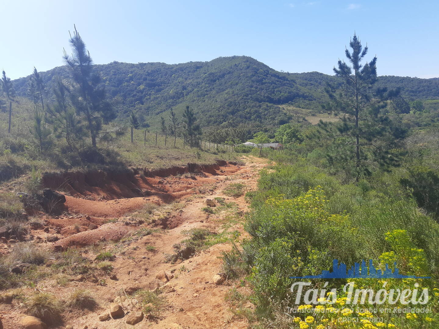 Fazenda à venda com 4 quartos, 10m² - Foto 17