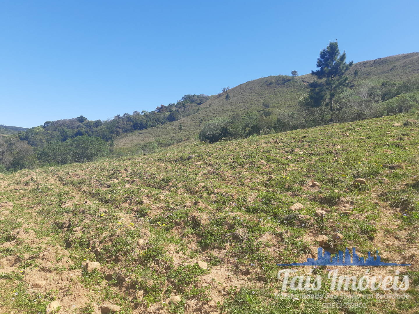 Fazenda à venda com 4 quartos, 10m² - Foto 21