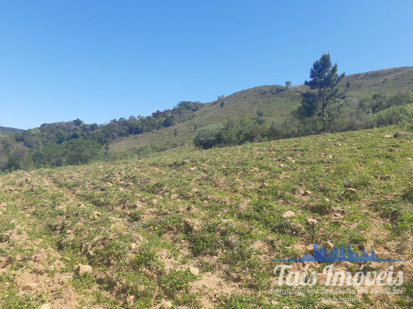 Fazenda à venda com 4 quartos, 10m² - Foto 19