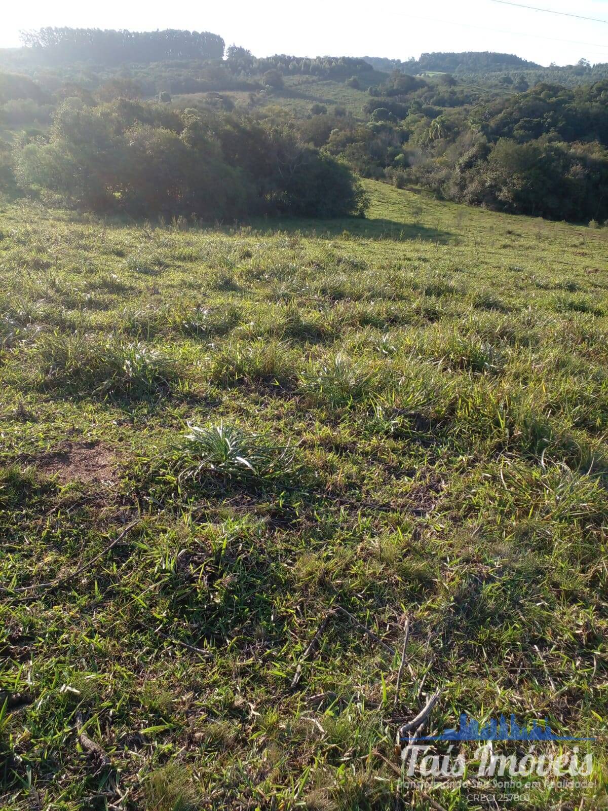 Terreno à venda, 20m² - Foto 6