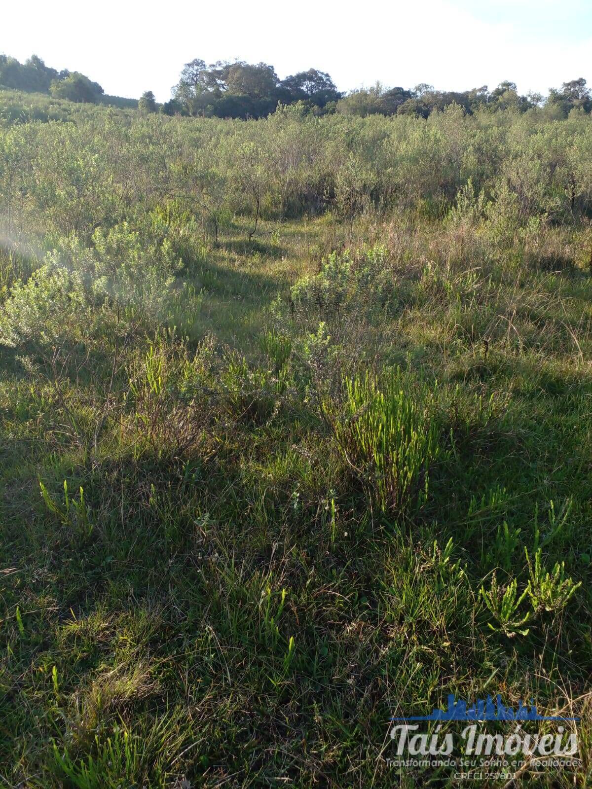 Terreno à venda, 20m² - Foto 5