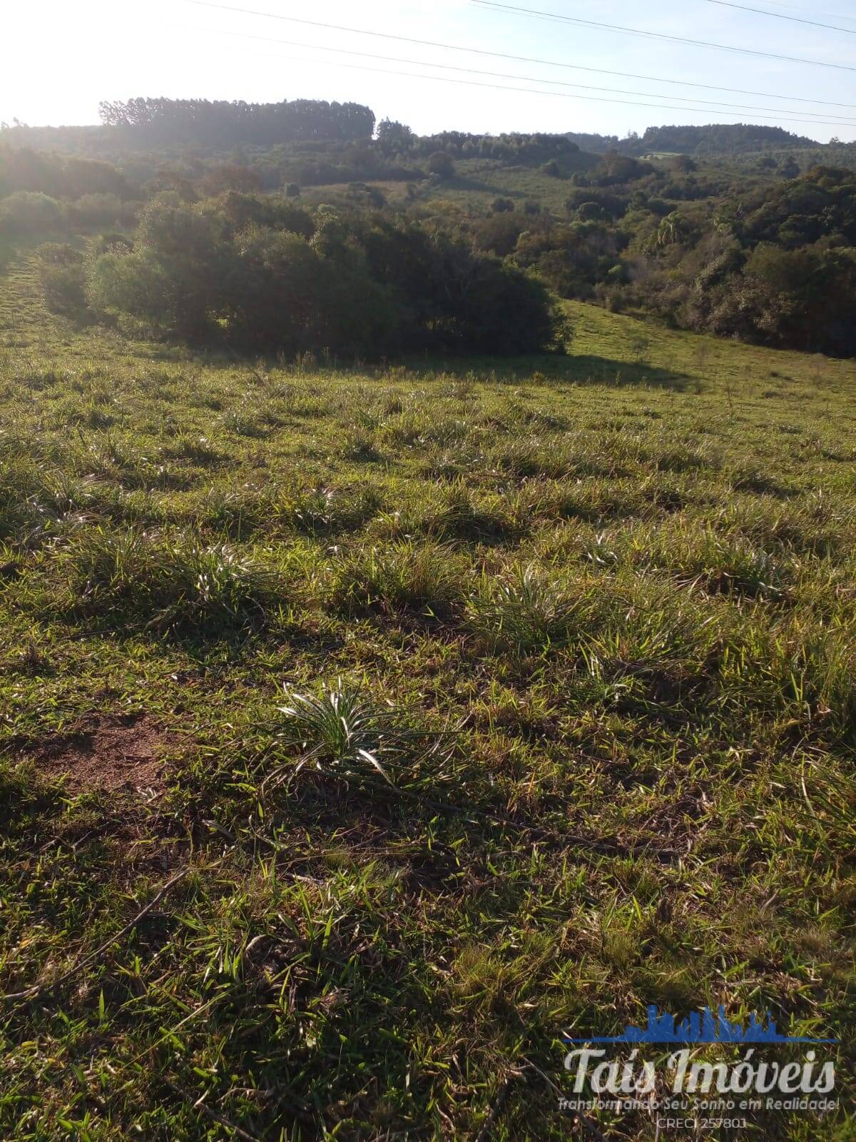 Terreno à venda, 20m² - Foto 7