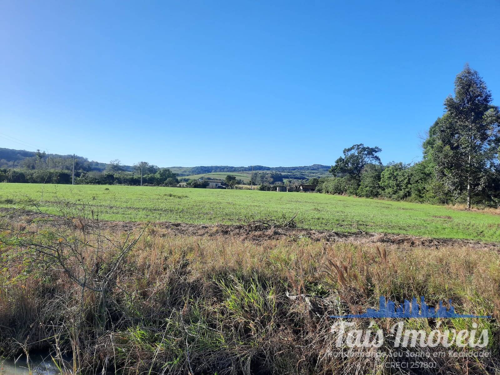 Terreno à venda, 7557m² - Foto 2