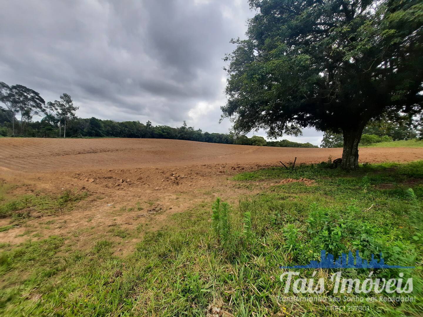 Fazenda à venda com 2 quartos, 18m² - Foto 7